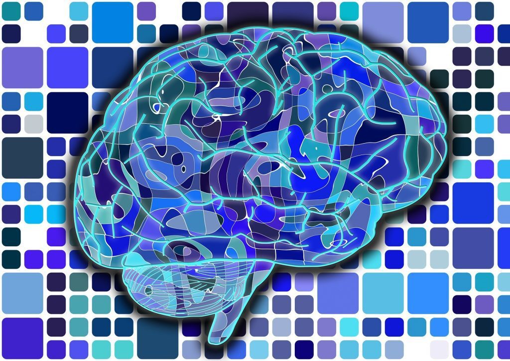 brain-951845_1920