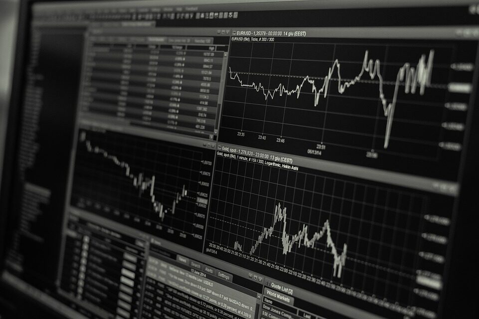 Securities Fraud